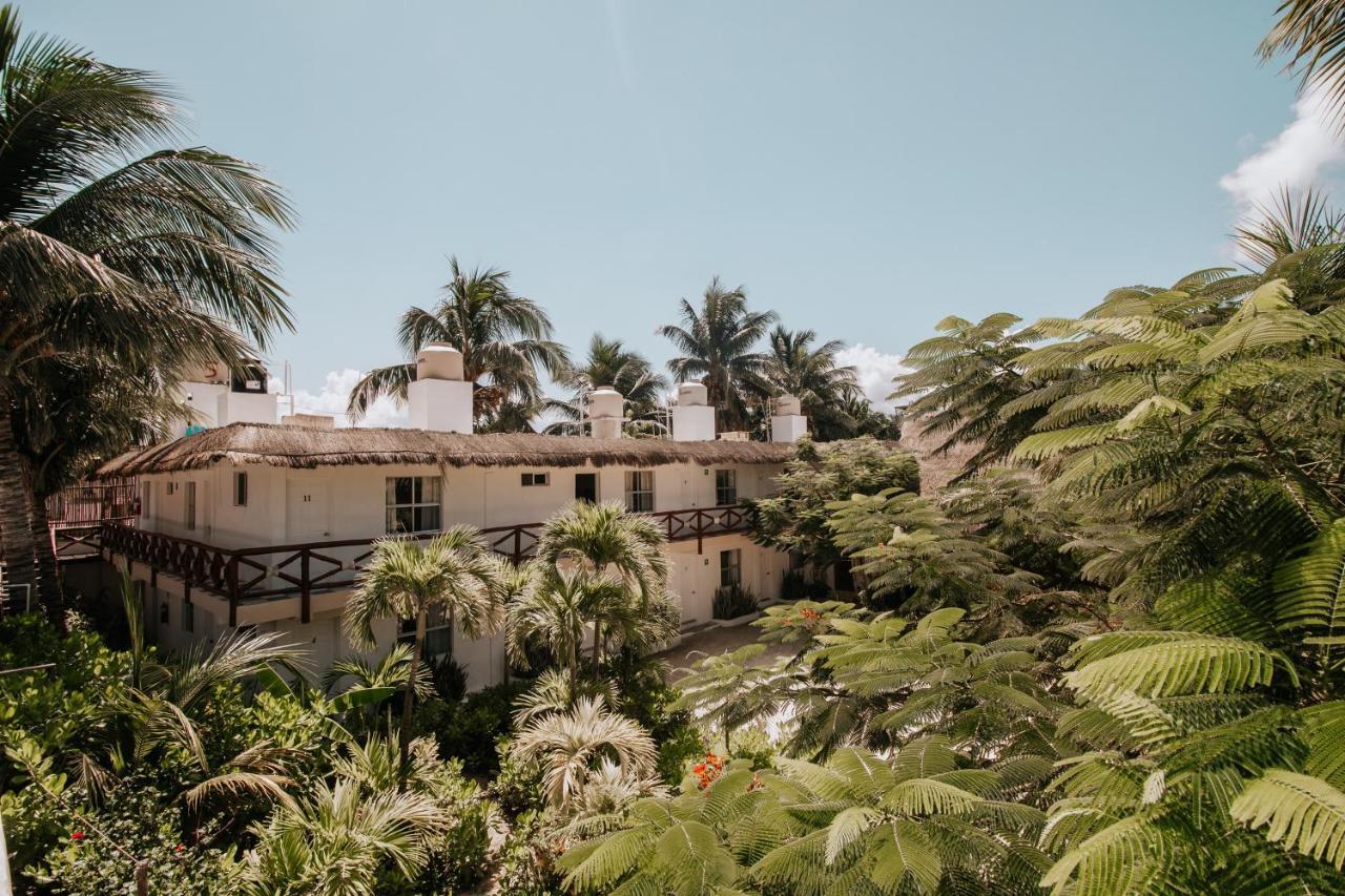 La Diosa Kali Beach Front Hotel Isla Holbox Bagian luar foto