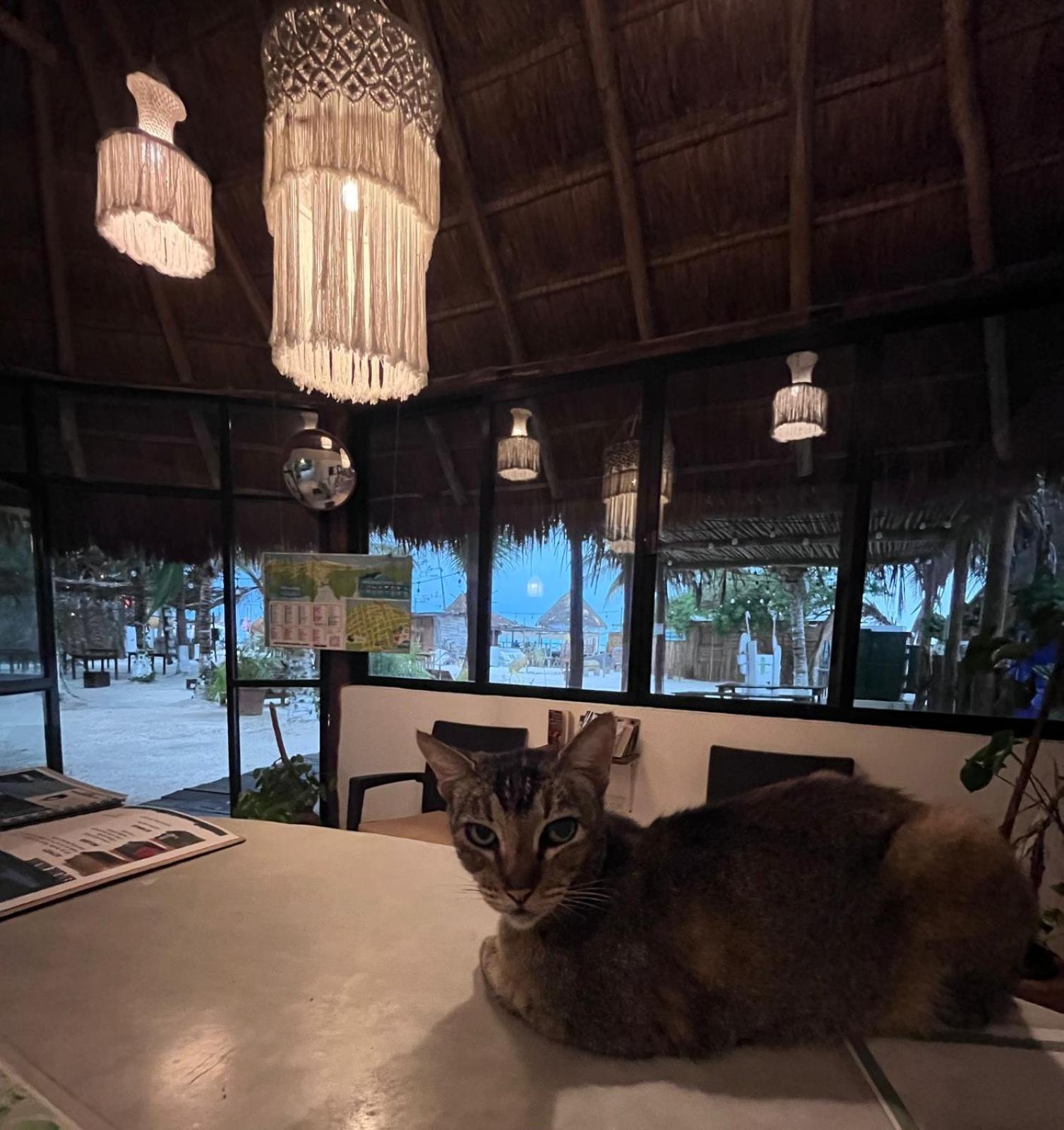 La Diosa Kali Beach Front Hotel Isla Holbox Bagian luar foto