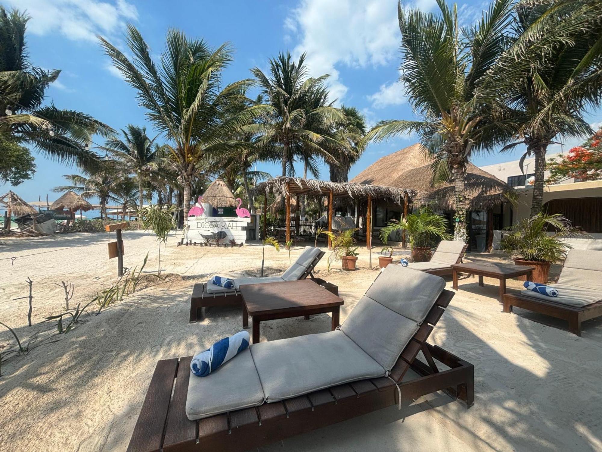 La Diosa Kali Beach Front Hotel Isla Holbox Bagian luar foto